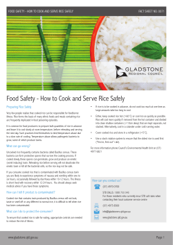 Food Safety - How to Cook and Serve Rice Safely
