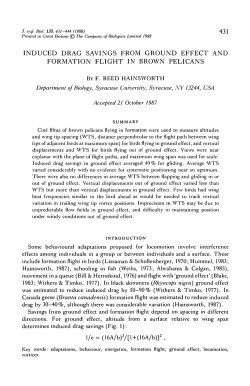 induced drag savings from ground effect and formation flight in