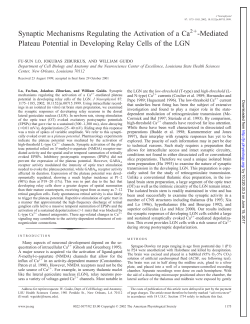 Mediated Plateau Potential in Developing Relay Cells of the LGN