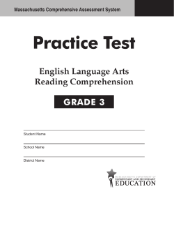Grade 3 English Language Arts Practice Test 2013