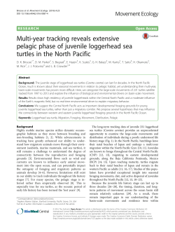Multi-year tracking reveals extensive pelagic phase of juvenile