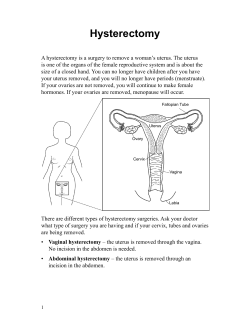 Hysterectomy - Health Information Translations