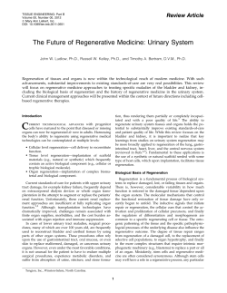 The Future of Regenerative Medicine: Urinary System
