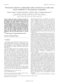 Proteasome function is dispensable under normal but not under