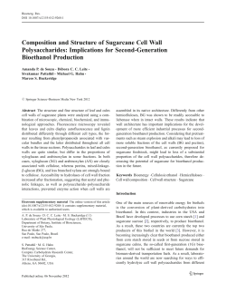 Composition and Structure of Sugarcane Cell Wall