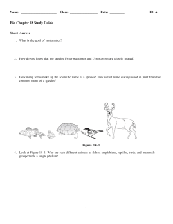 Bio Chapter 18 Study Guide