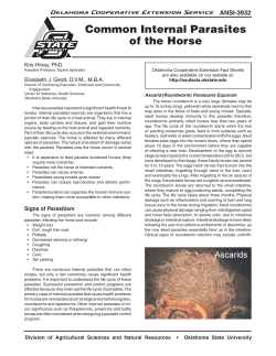 Common Internal Parasites - OSU Horse