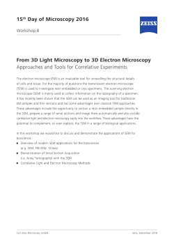 From 3D Light Microscopy to 3D Electron Microscopy