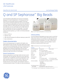 Q and SP Sepharose™ Big Beads