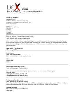 DM 001 LOWER EXTREMITY FOCUS