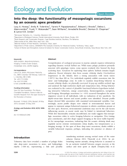 Into the deep: the functionality of mesopelagic excursions by an