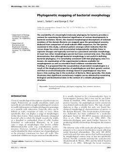 Phylogenetic mapping of bacterial morphology
