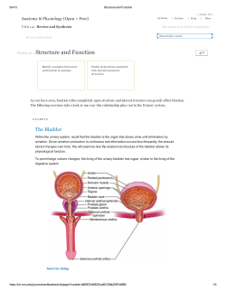 Module 56 / Structure and Function