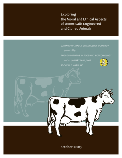 Exploring the Moral and Ethical Aspects of Genetically Engineered