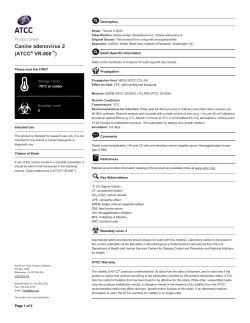 Canine adenovirus 2 (ATCC&reg; VR800&trade;)