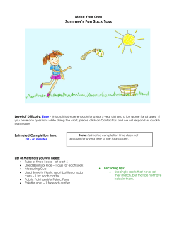Summer`s Fun Sock Toss - Faber