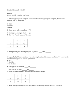 Genetics Homework - Napa Valley College
