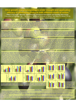 Olive growth and photosynthesis under drought and application