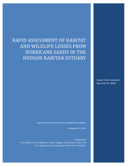 Rapid Assessment OF Habitat and Wildlife Losses