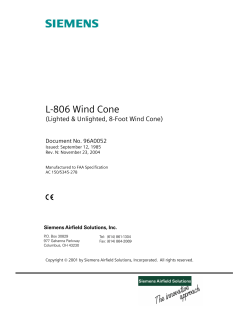 L-806 Wind Cone