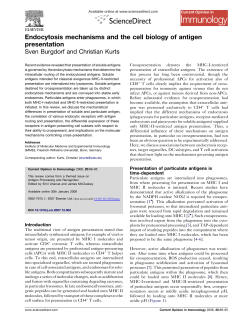 Endocytosis mechanisms and the cell biology of antigen presentation