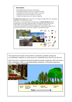 The organisms that make up the primitive