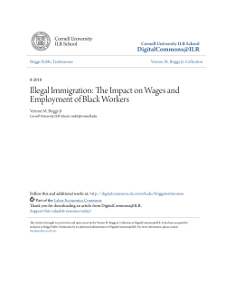 Illegal Immigration: The Impact on Wages and Employment of Black