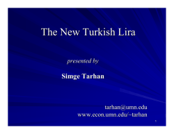 The New Turkish Lira