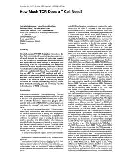 How Much TCR Does a T Cell Need?