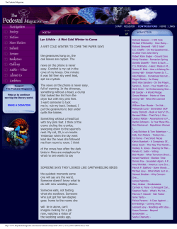 Lyn Lifshin - A Wet Cold Winter to Come