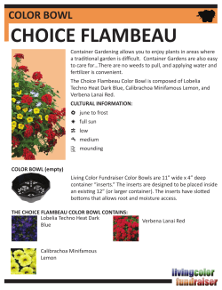 color bowl choice flambeau
