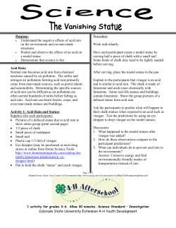 Vanishing Statue - Colorado 4-H