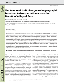 The tempo of trait divergence in geographic isolation
