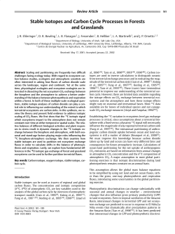 Stable Isotopes and Carbon Cycle Processes in Forests and