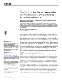 Time for Chocolate: Current Understanding and New