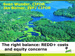 Cost and equity implications of integrating sticks and carrots in