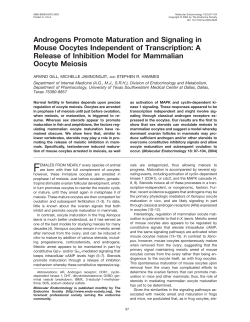 Androgens Promote Maturation and Signaling in Mouse Oocytes