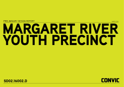 Preliminary concept design (overall Youth Precinct)