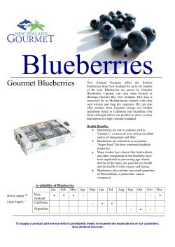 Blueberry pg2