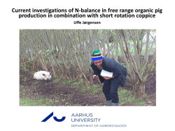 Current investigations of N-balance in free range organic pig