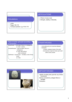 4 - articulations- joints complete ppt