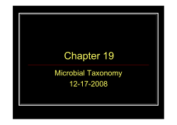 Chapter 19