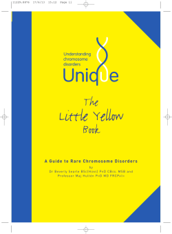 The Little Yellow Book