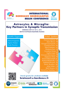 GliSyn - 2015 - Conf&eacute;rences Bordeaux Neurocampus