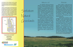 Saskatoon Natural Grasslands