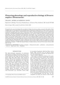 Flowering phenology and reproductive biology of Drosera