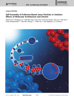 SelfAssembly of FullereneBased Janus