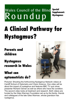 here - Wales Council for the Blind