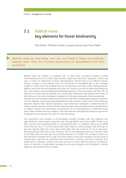 2.1 Habitat trees: key elements for forest biodiversity