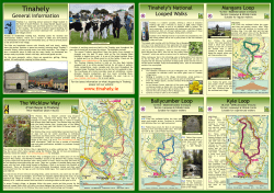 Discover Tinahely Map Here